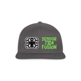 Sensor Fusion | 2026 |  Baseball Cap - dark grey