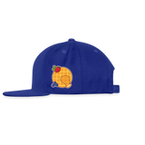 Sensor Fusion | 2026 |  Baseball Cap - royal blue