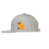 Sensor Fusion | 2026 |  Baseball Cap - heather gray